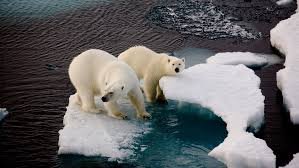 New Climate Report Warns of Accelerated Ice Melt